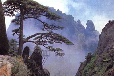 昆明房产抵押贷款-房屋抵押贷款-二手房抵押贷款-过桥垫资